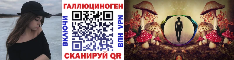 дарк нет официальный сайт  Трёхгорный  Галлюциногенные грибы Magic Shrooms 